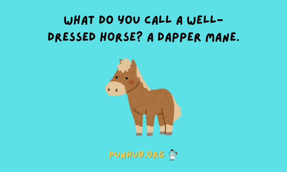 Best Horse Jokes Laugh With These Hoof Larious Puns