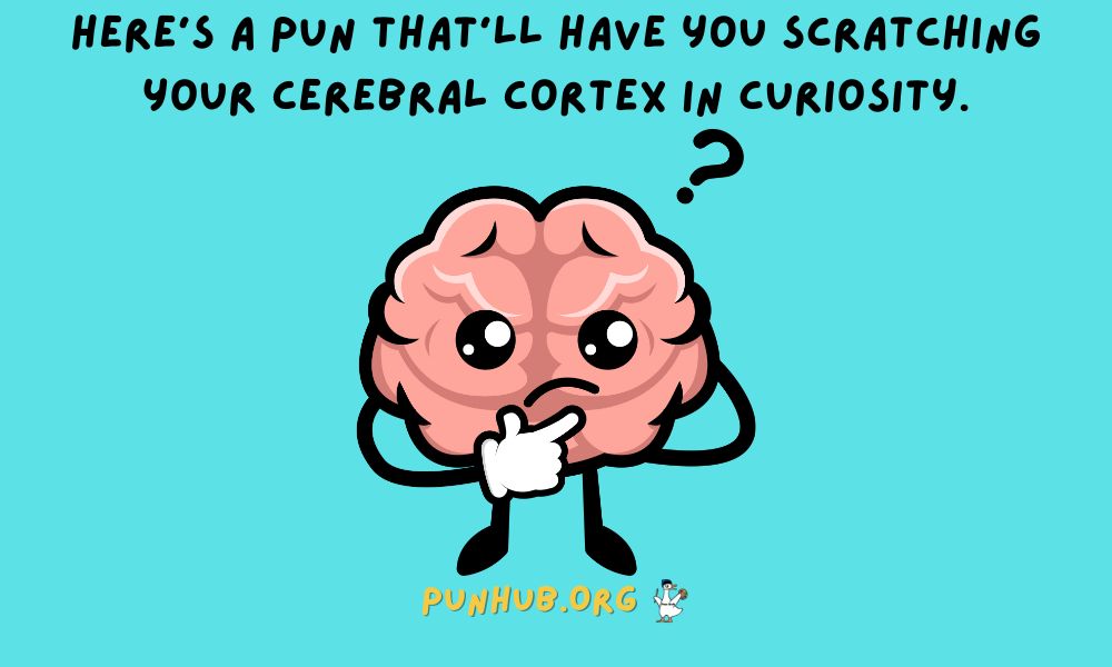 Brain Teasing Puns To Amuse And Challenge You