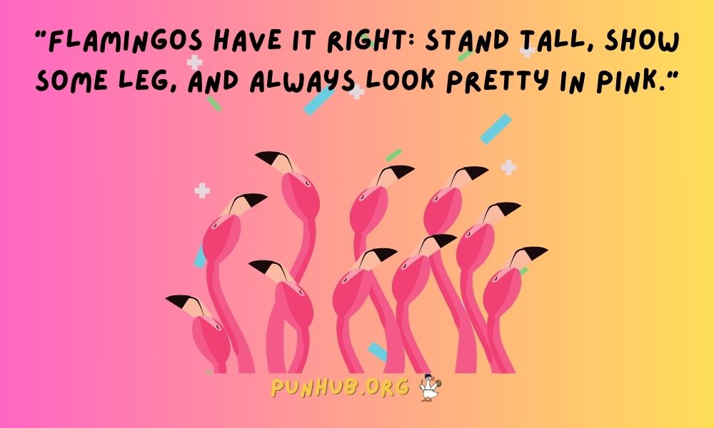 Flamingo Jokes With A Grown Up Twist