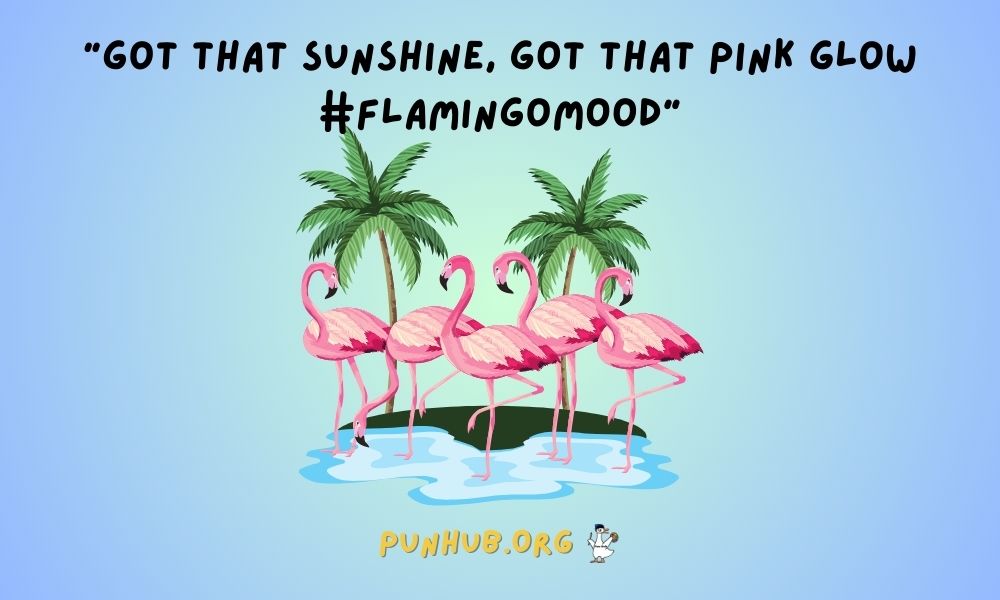 Flamingo Puns For Social Media Captions