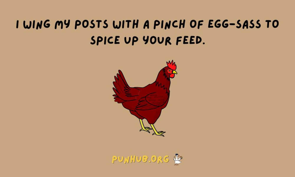 Hen Puns In Social Media Get More Engagement