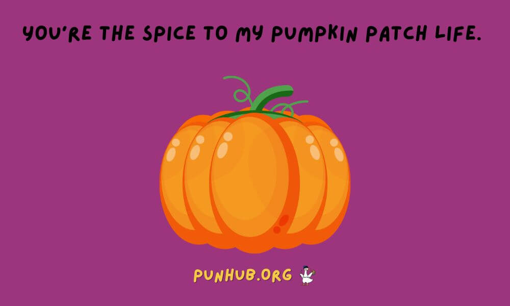 Pumpkin Spice Puns For Fall