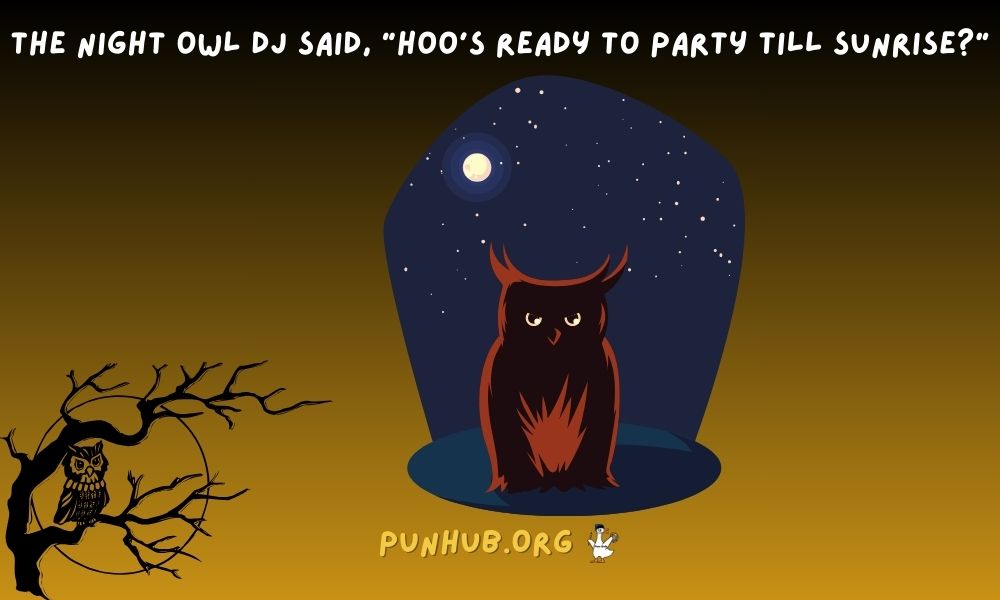 Puns For Night Owls