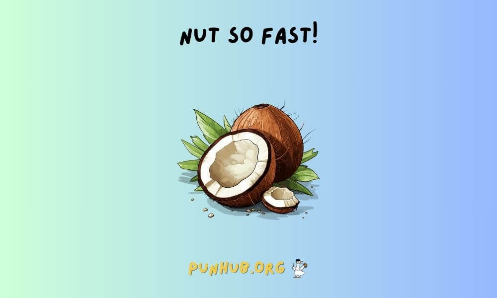 Short & Funny Coconut Puns One Liners