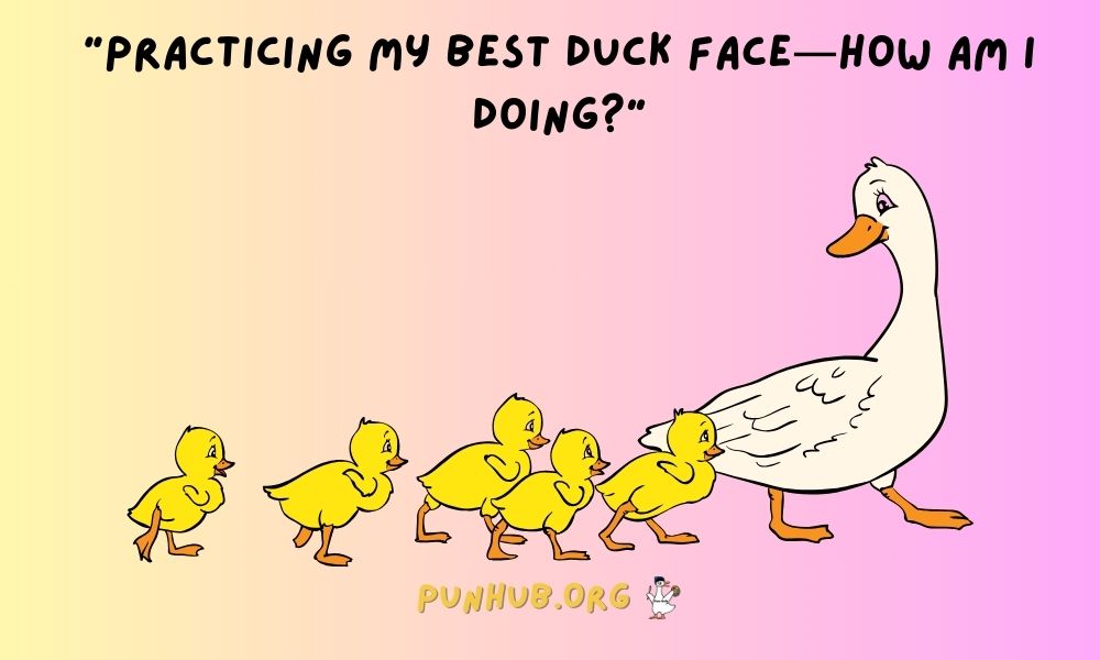 Witty Duck Puns For Your Captions