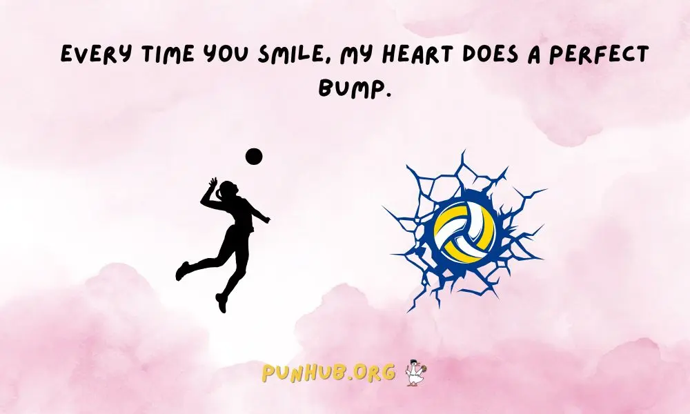 Valentine’s Day Volleyball Puns For Couples