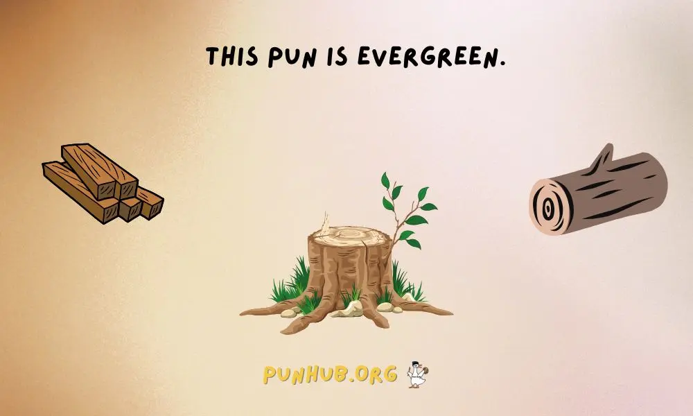 Classic Wood Puns Timeless Jokes For A Good Laugh