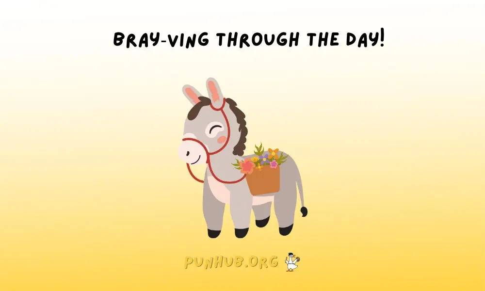 Donkey Jokes Instagram Funniest Captions Ever