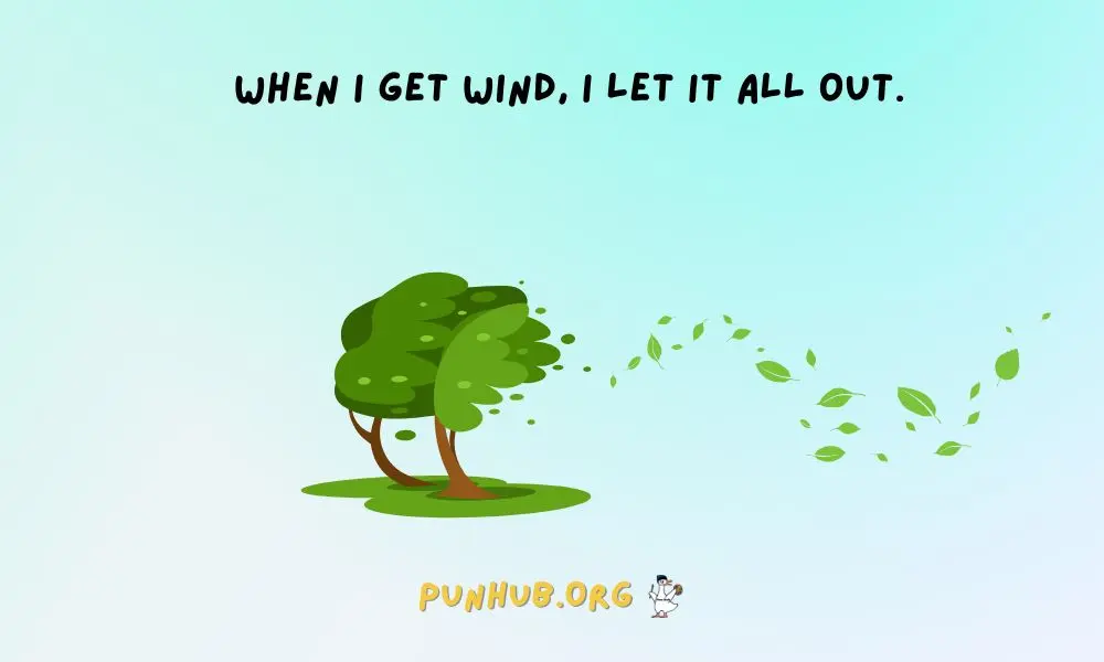 Double Meaning Wind Puns To Amuse You