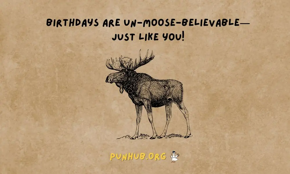 Moose Puns For Birthdays That Stand Out