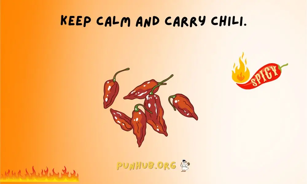 One Liner Chili Puns For Quick & Spicy Laughs
