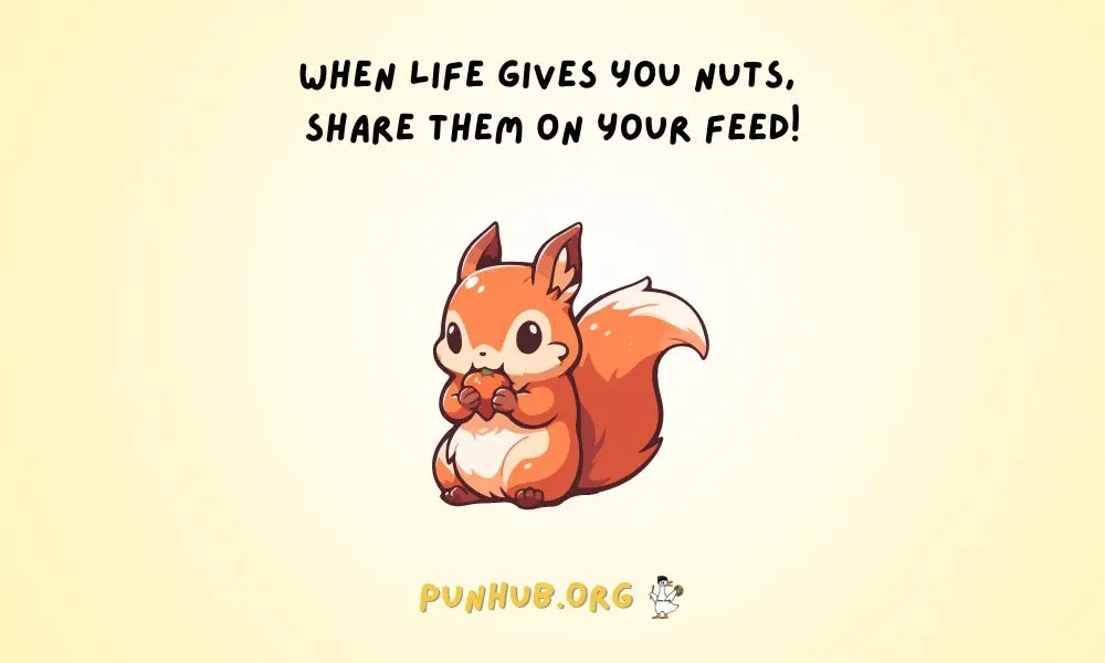 Squirrel Puns For Instagram Cute And Funny Ideas