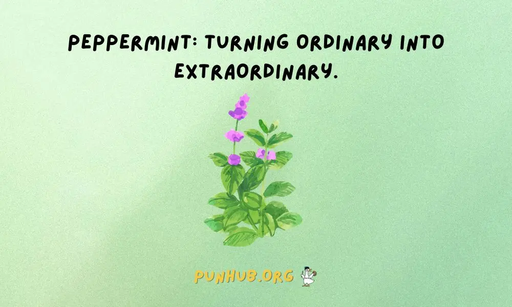 Minting New Puns To Peppermint Up Sayings