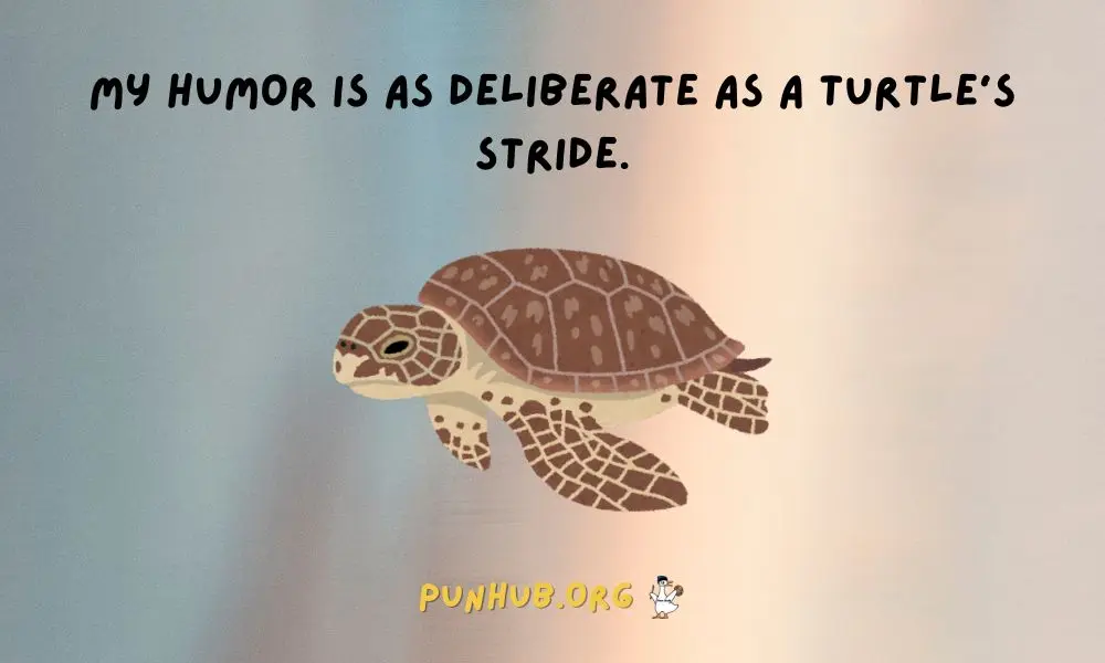Best Turtle Pun One Liners For Quick Fun