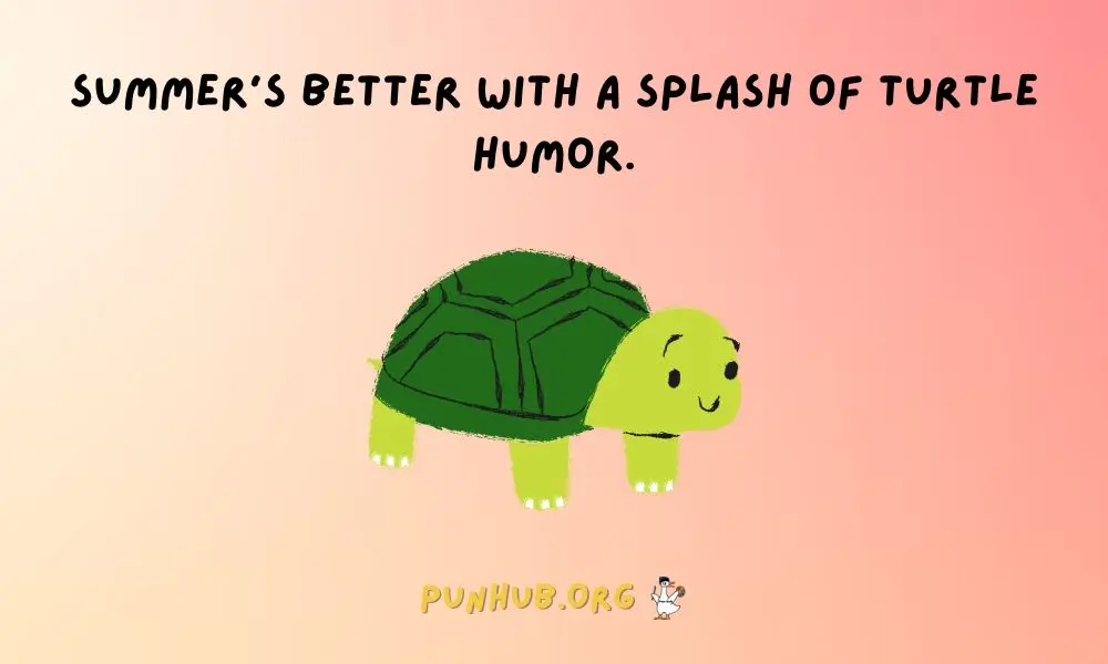 Pun In The Sun Best Turtle Jokes For Summer