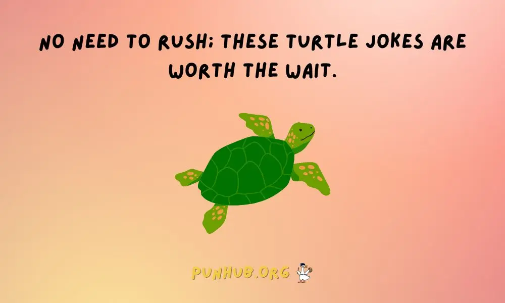 Slow And Punny The Best Turtle Jokes