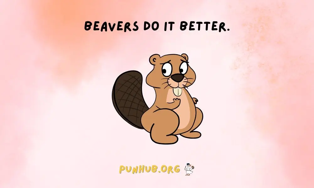 Beaver Puns For Instagram & Social Media