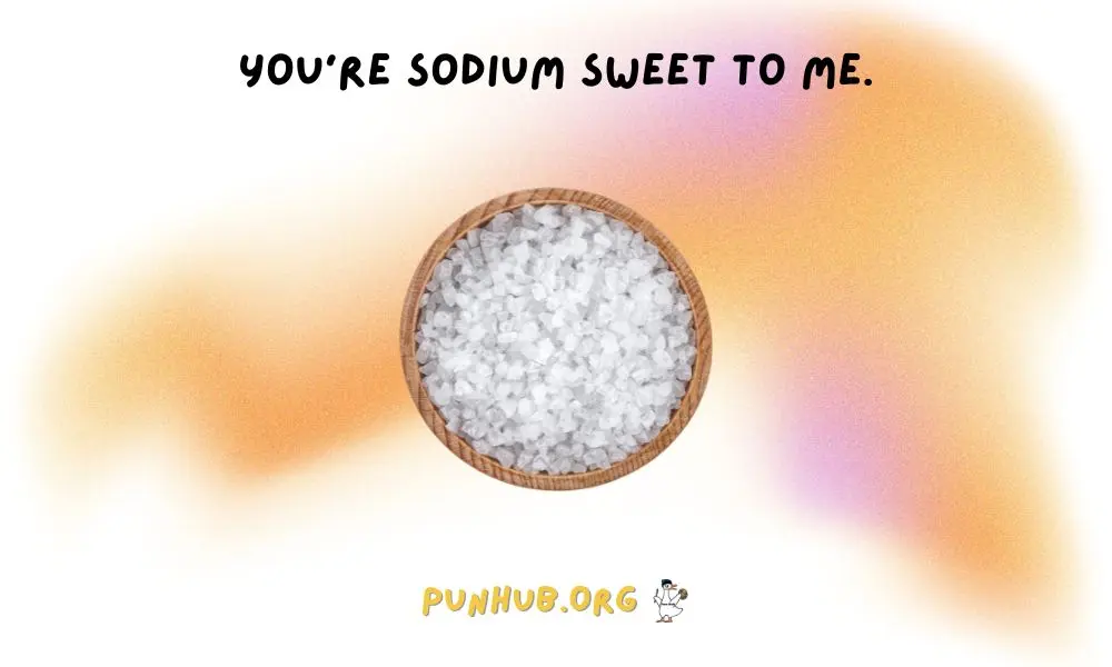 Cute And Romantic Salt Puns For Couples