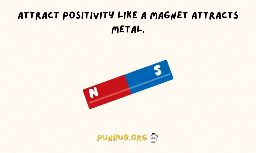 Funny & Silly Magnet Puns To Stay Positive