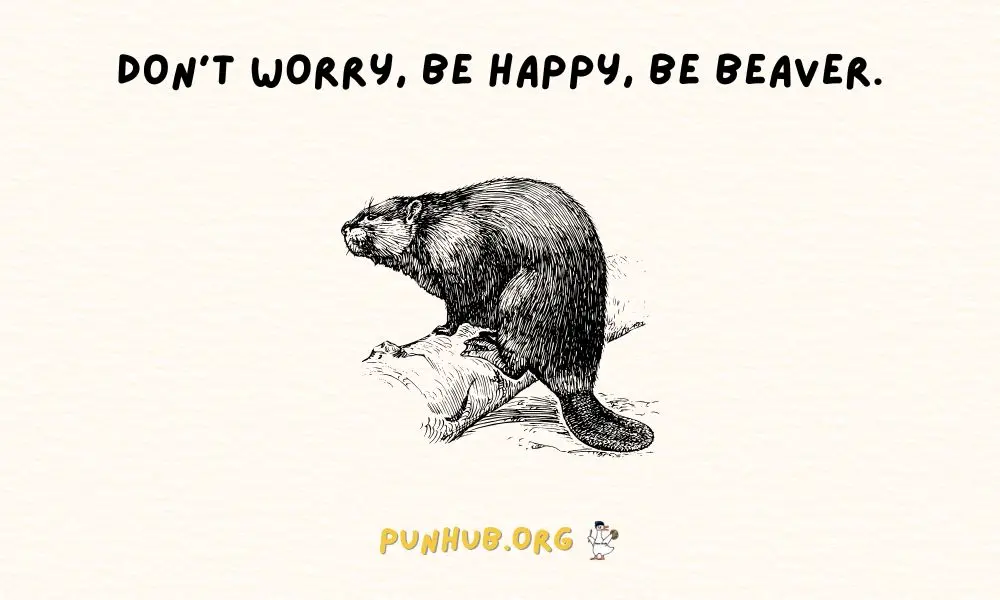 One Liner Beaver Jokes & Puns