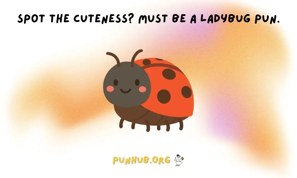 Cute And Quirky Ladybug Puns