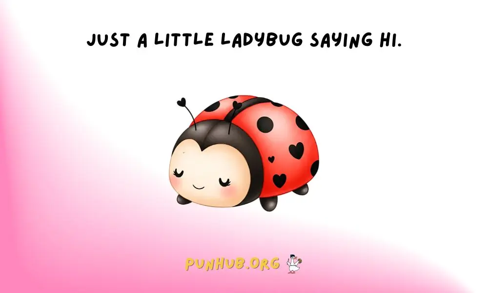 Punny Ladybug Greetings For Every Occasion