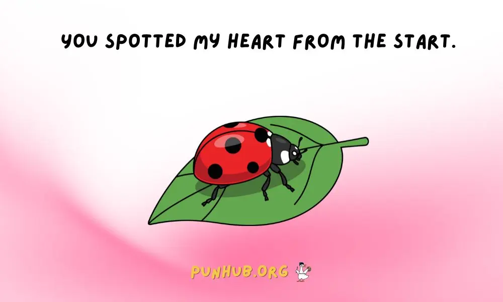 Valentines Day Ladybug Puns